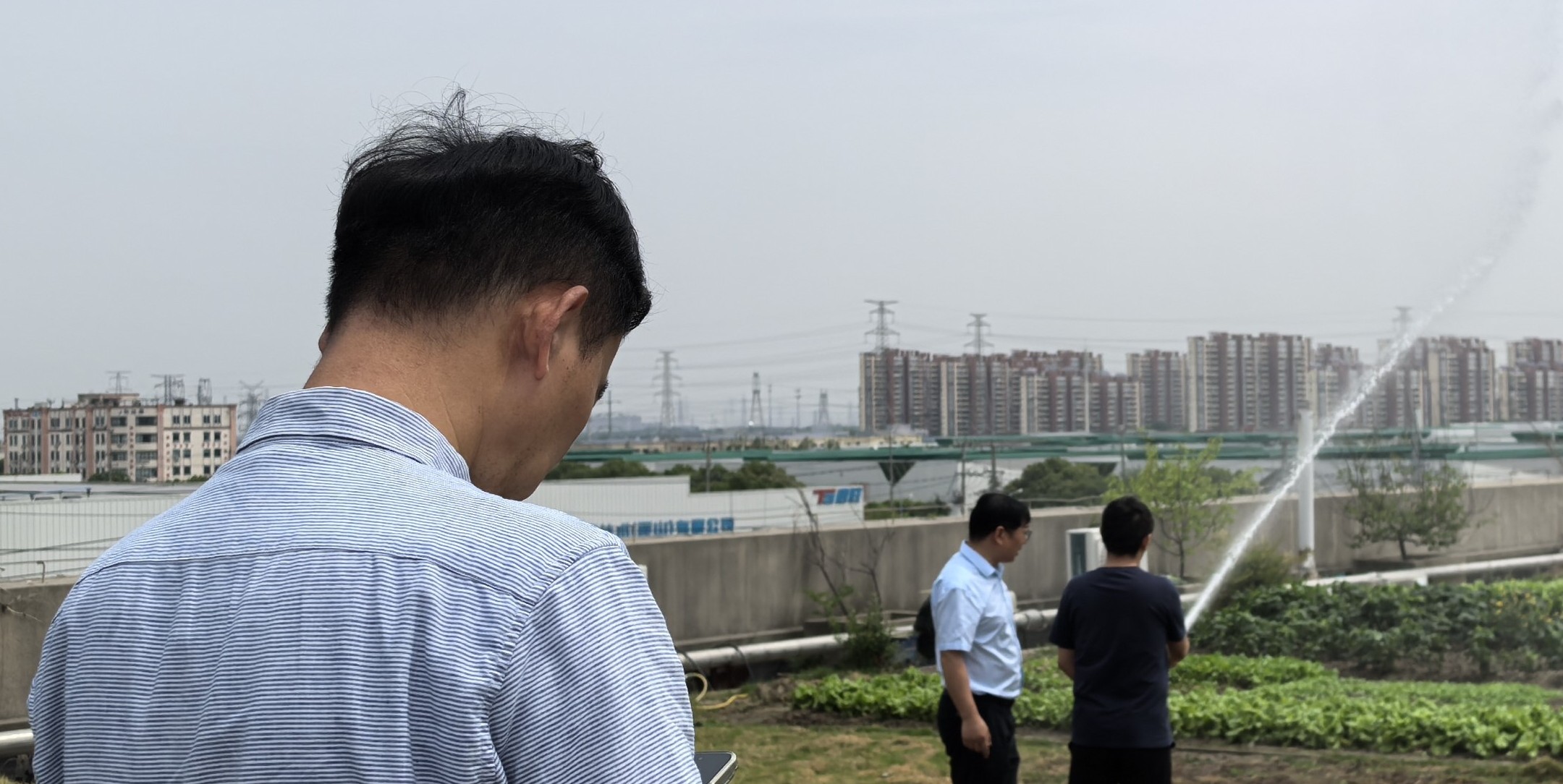 真核.jpg